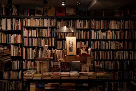 Día del Libro 2026 en Santiago: Panoramas gratis para este jueves 23 de abril